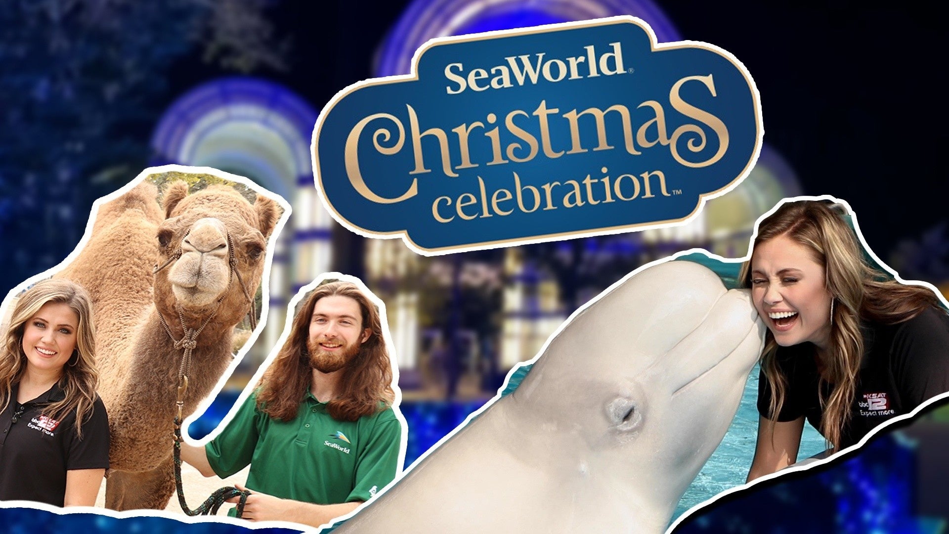 Largest Light Display In Texas' Returning To Seaworld San Antonio