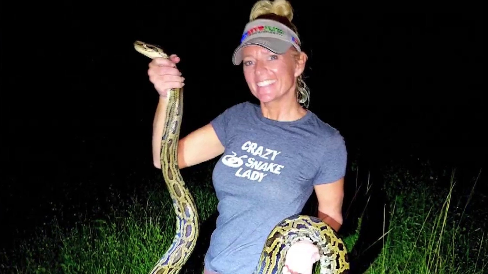 Burmese Python Eats Alligator And Explodes