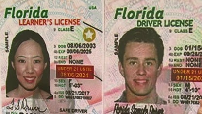 Florida's NEW Driver License and ID Card - Florida Department of Highway  Safety and Motor Vehicles