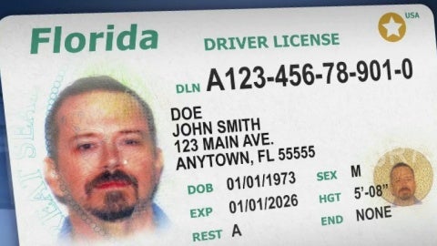 Here's what the new Florida driver's license looks like